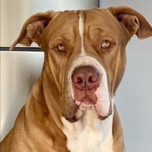 Meet your Posher, Jay